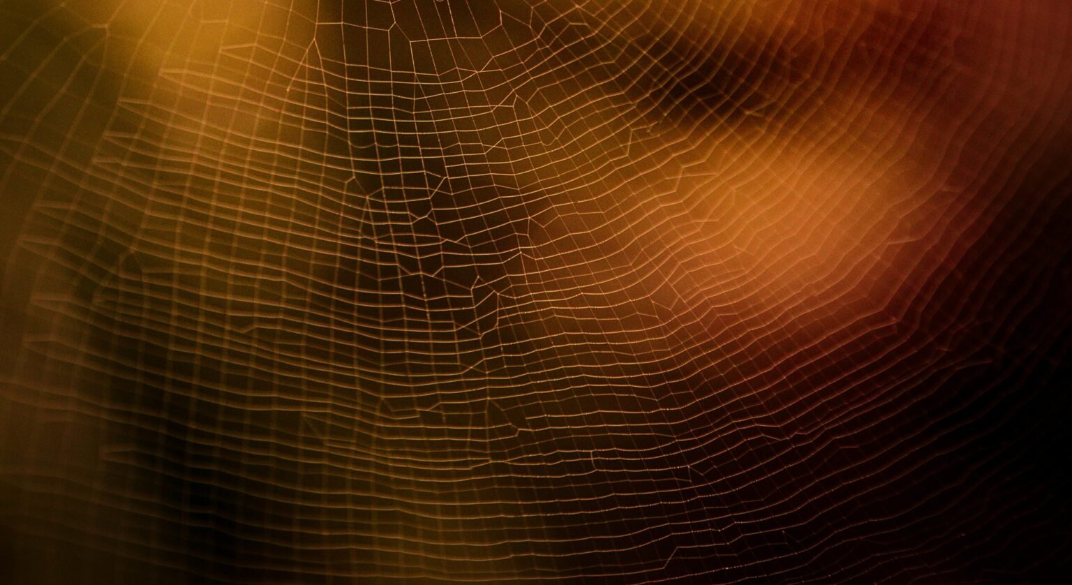 Designing Web in Prince Edward Island, Canada: Your Guide to a Powerful Online Presence