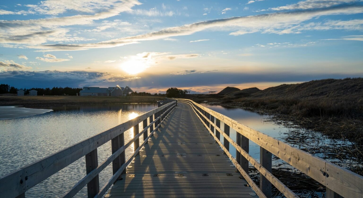 Dentist Web Solutions in Prince Edward Island: Your Guide to Digital Success