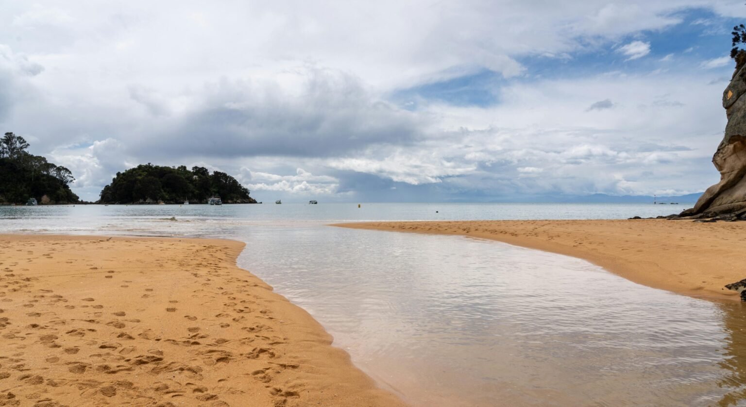 Finding the Best Website Agencies in Nelson-Tasman, New Zealand: Your Local Guide