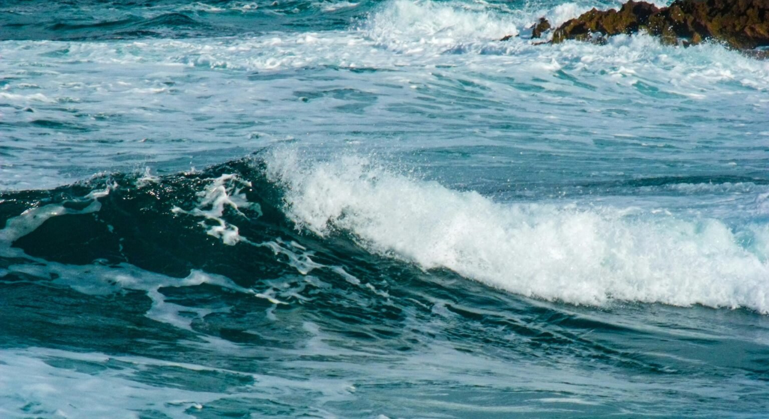 Hervey Bay Ecommerce Web Design: Powering Local Businesses Online