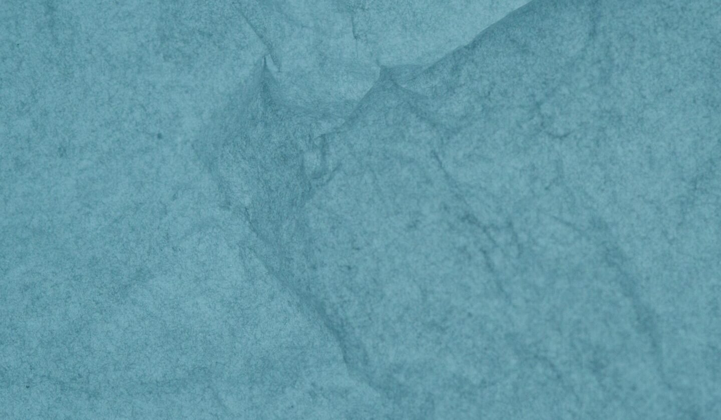 Website Designing Near Me Toowoomba: Your Local Guide to Digital Success