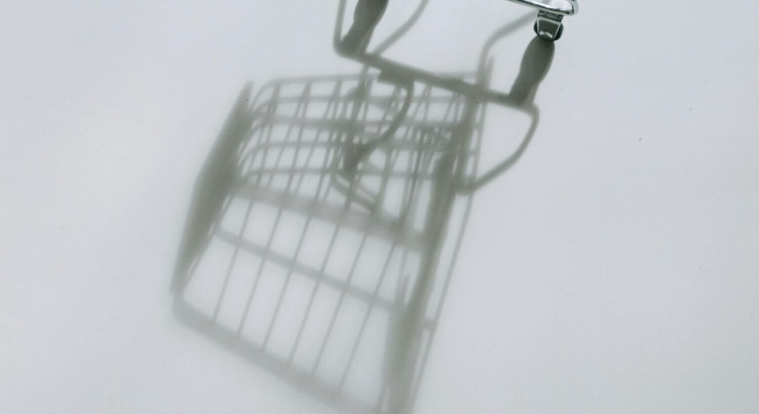 Elevate Your Business: Expert E-commerce Web Designers Gold Coast