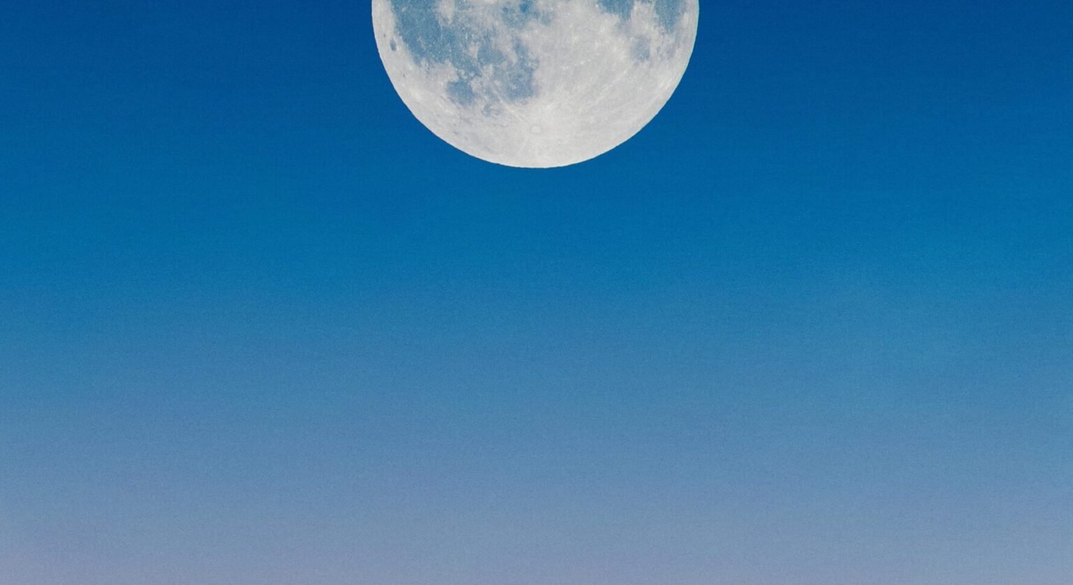 Finding the Best Website Designers in Bendigo, Australia: Your Local Digital Partner