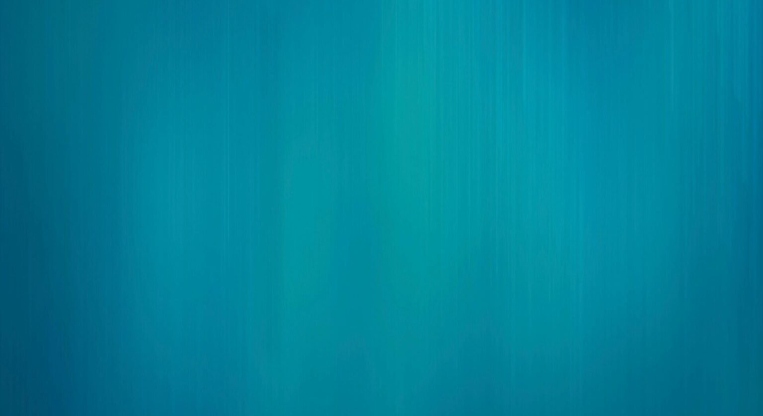 Essential Website Maintenance in Blenheim, NZ: Secure Your Online Success