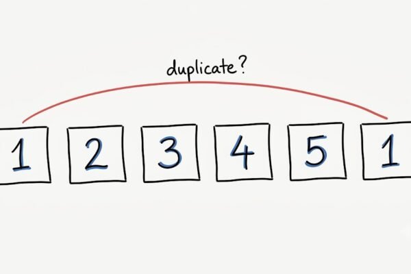 Contains Duplicate, Explained Properly: Why a Set Beats Sorting